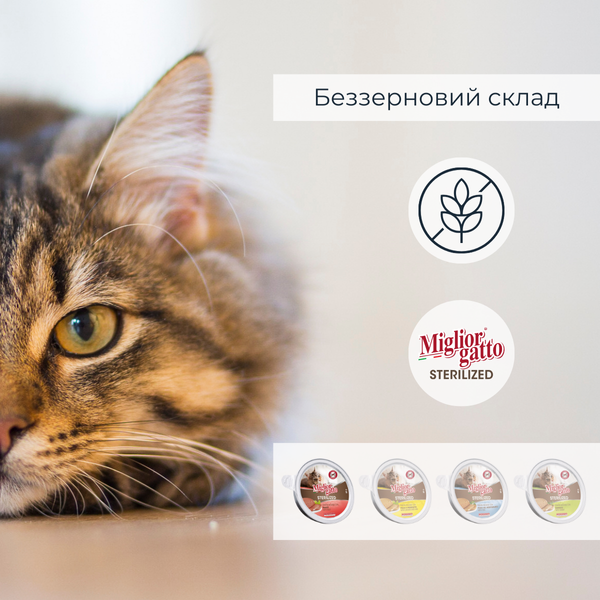 Беззернові консерви для стерилізованих котів Morando Migliorgatto Sterilized мус з телятиною 85 g 01461 фото