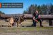 Удлиненная шлея для собак Rock harness long Non-stop dogwear Черный/Оранжевый S 40702 фото 4