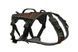 Удлиненная шлея для собак Rock harness long Non-stop dogwear Черный/Оранжевый S 40702 фото 1