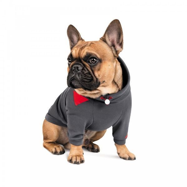 Худі Pet Fashion Snoodie для собак сіра M 1111165365 фото