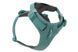 Повсякденна шлейка для собак Ruffwear Front Range&reg; M 69-81 см Зелений 30799 фото 17