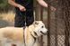 Короткий повідець для собак Ruffwear Front Range&trade; Сірий 30911 фото 14