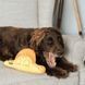Мягкая игрушка для собак Beco Pets Диметродон Желтый M 42150 фото 1