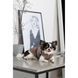 Жилет Pet Fashion Hardy для собак утеплений водонепроникний з отвором для повідця бежевий розмір M 1111182493 фото 2