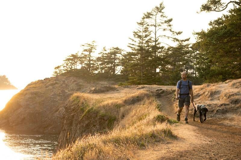 Повсякденна шлейка для собак Ruffwear Front Range&reg; M 69-81 см Зелений 30799 фото