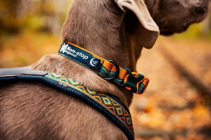 Нашийник для собак Trail quest collar RP signature edition Non-stop dogwear Бірюзовий/Дуб L 40476 фото