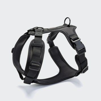 Y-подібна шлейка для собак Cloud7 Y-3 Harness AKTIV Чорний M 46267 фото