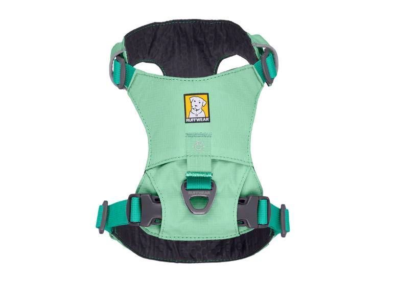 Облегченная шлейка для собак Ruffwear Hi & Light&trade; XS 43-56 см Зеленый 30832 фото