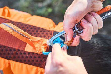 Спасательный жилет для собак Protector life jacket Non-stop dogwear Черный/Оранжевый 3 40504 фото