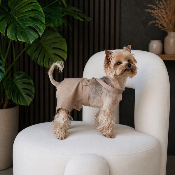 Шорти Pet Fashion Leo для собак М 1111225431 фото