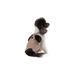 Шорти Pet Fashion Leo для собак М 1111225431 фото 2
