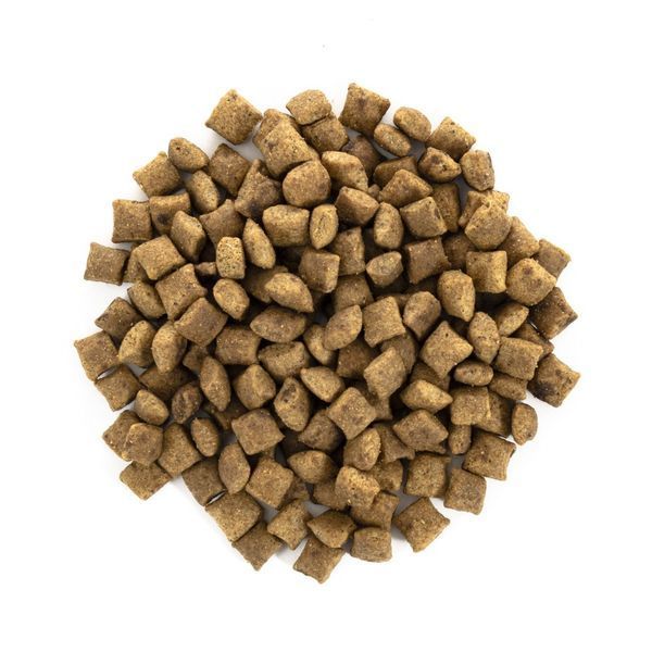 Корм сухий Brit Care Cat Grain Free Sterilized Weight Control для стерилізованих котів з надмірною вагою з качкою та індичко 1111162360 фото