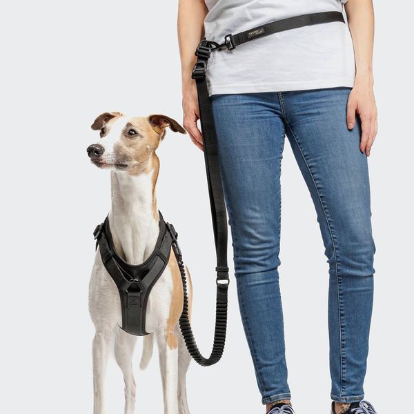 Y-подібна шлейка для собак Cloud7 Y-3 Harness AKTIV Чорний S 46269 фото