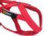 Шлея для собак Combined harness Non-stop dogwear Красный 6 40641 фото 5