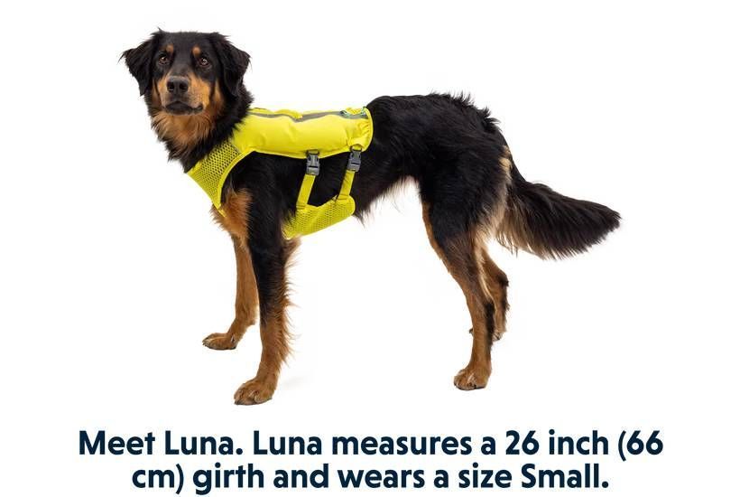 Жилет-шлея для бігу Ruffwear Trail Runner&trade; M Зелений 30994 фото