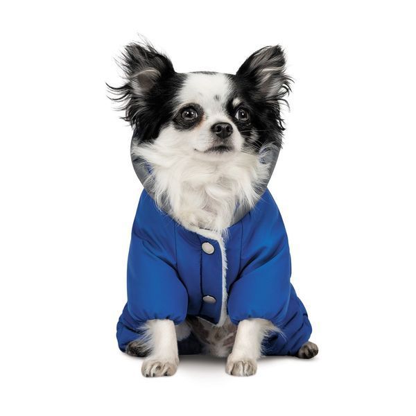 Костюм Pet Fashion ZHAN для собак синій XS2 1111175228 фото