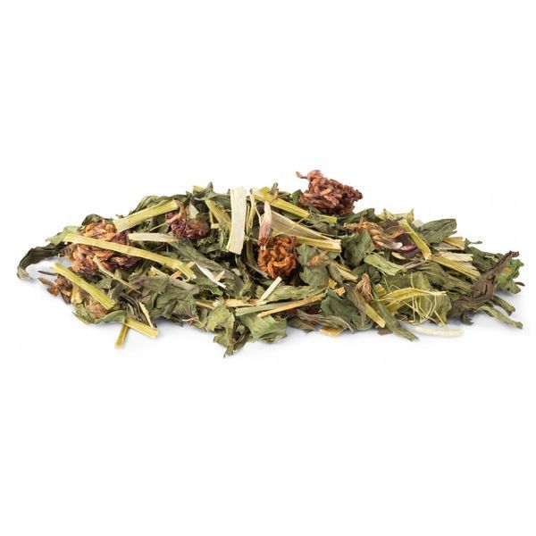 Корм Vitakraft Vita Verde Nature Mix для декоративних гризунів з подорожником та конюшиною 70 г 1111119069 фото