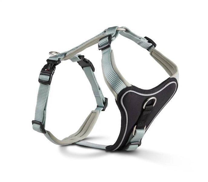 Шлейка для собак смягченная Wolters Professional Comfort 6 80-95 см / 35 мм Зеленый 29768 фото