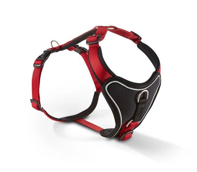 Шлейка для собак пом'якшена Wolters Professional Comfort 5 70-85 см / 35 мм Червоний 29753 фото