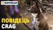 Рефлекторний повідець для собак Ruffwear Crag&trade; Бірюзово-блакитний 30891 фото 8