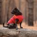 Жилет Pet Fashion E.Vest для собак червоний М2 1111166429 фото 5