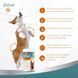 Вітаміни 8in1 Excel Glucosamine для цуценят та дорослих собак для суглобів 110 шт 1111201796 фото 9