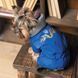 Костюм Pet Fashion ZHAN для собак синій XS2 1111175228 фото 5
