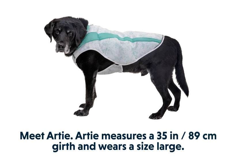Охолоджуюча попона для собак Ruffwear Swamp Cooler&trade; XXS Зелений 30545 фото