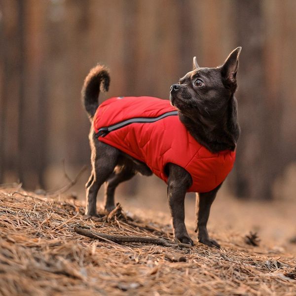 Жилет Pet Fashion E.Vest для собак червоний М 1111166430 фото