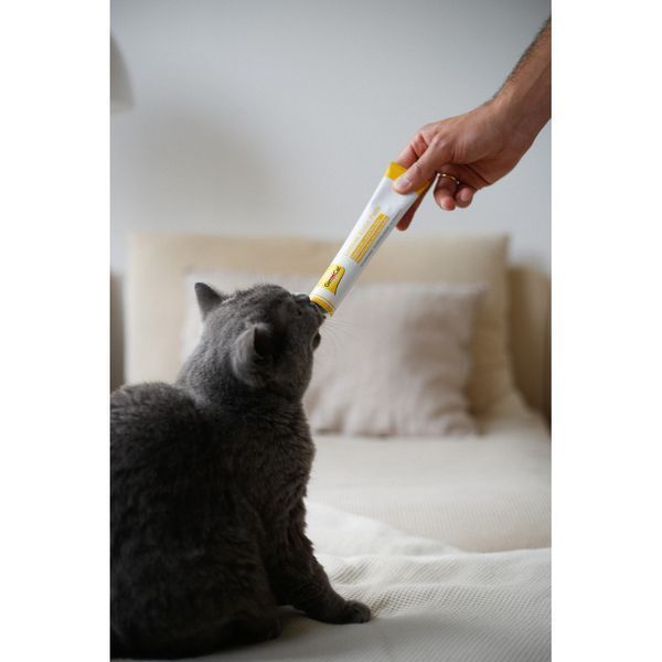 Паста GimCat Cheese Biotin Paste для котів усіх порід cирна з біотином 100г 1111183839 фото
