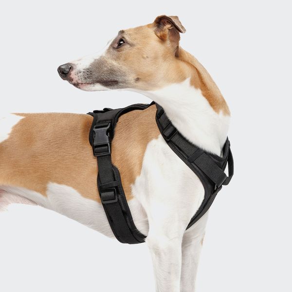 Y-подібна шлейка для собак Cloud7 Y-3 Harness AKTIV Чорний XL 46271 фото