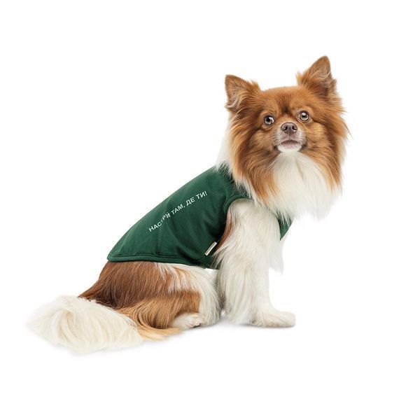 Борцівка Kale ТМ Pet Fashion для собак L зелена 1111197884 фото
