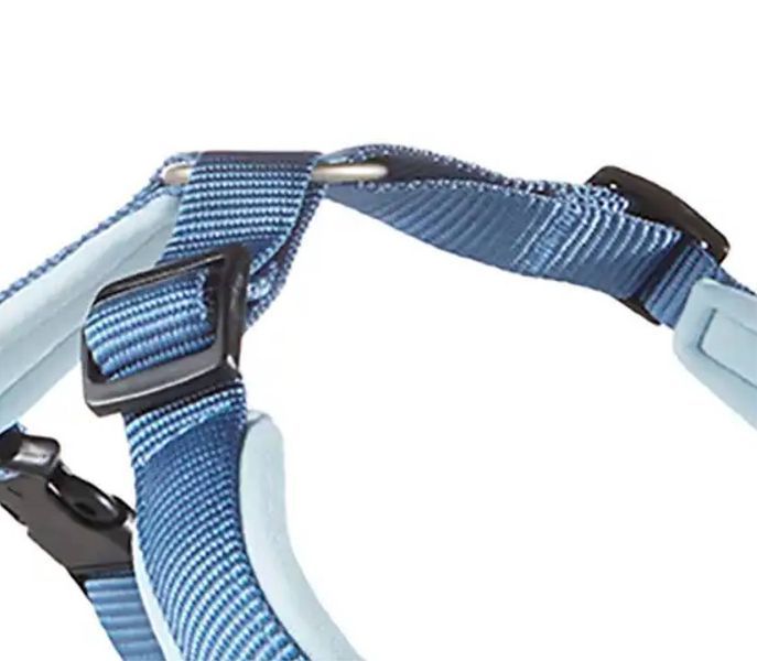Шлейка для собак смягченная Wolters Professional Comfort 6 80-95 см / 35 мм Синий 29765 фото