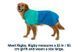 Дощовик для собак Ruffwear Sun Shower&trade; XL Блакитно-бірюзовий 30496 фото 14