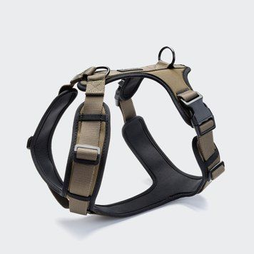 Y-подібна шлейка для собак Cloud7 Y-3 Harness AKTIV Оливковий XL 46272 фото