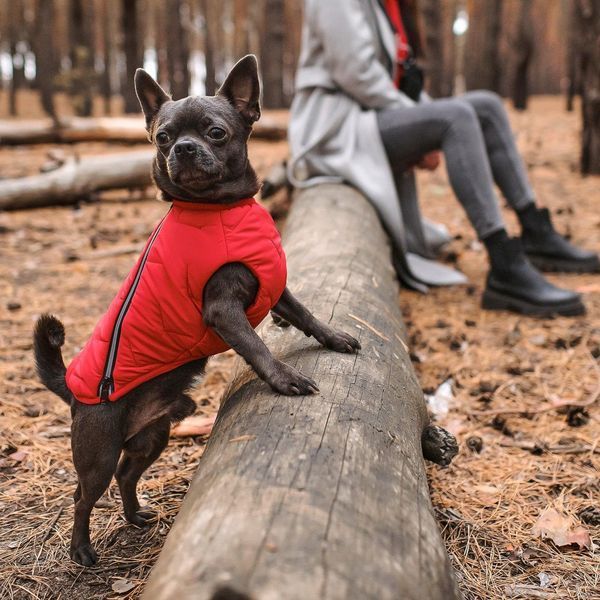 Жилет Pet Fashion E.Vest для собак червоний SМ 1111166431 фото