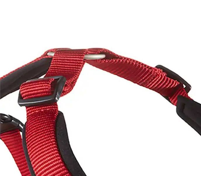 Шлейка для собак смягченная Wolters Professional Comfort 2 40-45 см / 25 мм Красный 28277 фото