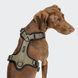 Y-подібна шлейка для собак Cloud7 Y-3 Harness AKTIV Оливковий XL 46272 фото 3