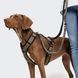 Y-подібна шлейка для собак Cloud7 Y-3 Harness AKTIV Оливковий XL 46272 фото 4