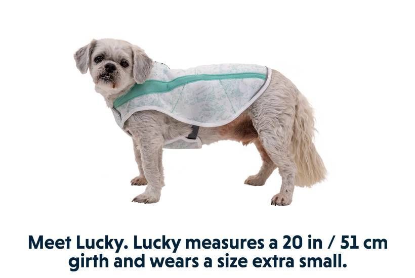 Охлаждающая попона для собак Ruffwear Swamp Cooler&trade; S Зеленый 30547 фото