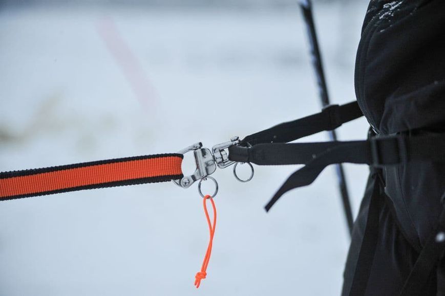 Пояс для прив'язі собак L&oslash;ype belt pro Non-stop dogwear Чорний L 40308 фото