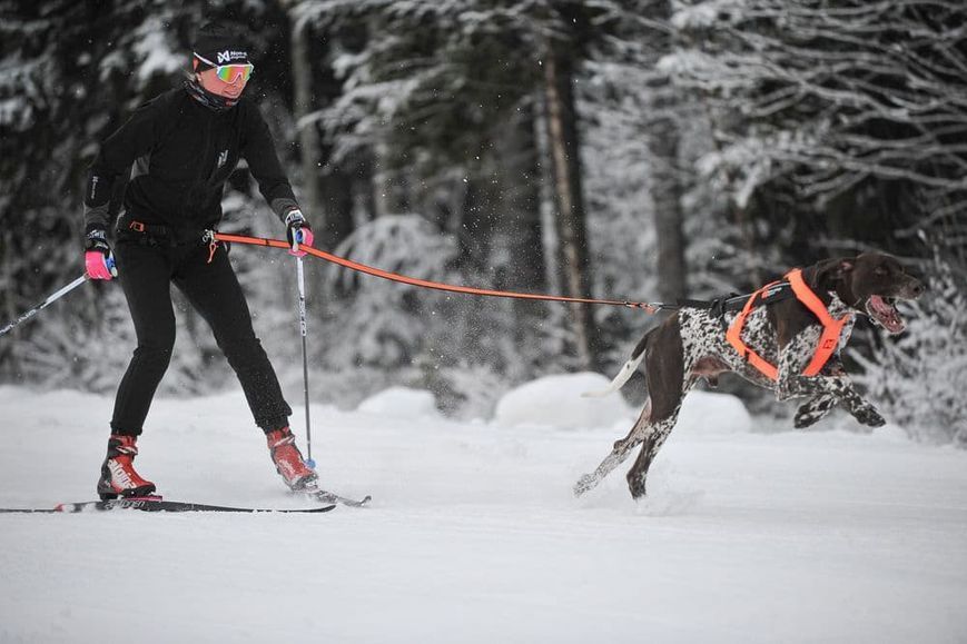 Пояс для прив'язі собак L&oslash;ype belt pro Non-stop dogwear Чорний L 40308 фото
