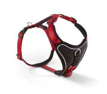 Шлейка для собак пом'якшена Wolters Professional Comfort 2A 45-50 см / 25 мм Червоний 28281 фото