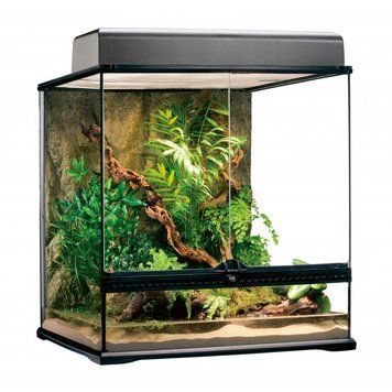 Тераріум ExoTerra для екзотичних тварин Natural Terrarium скляний 60x45x60 см 1111118147 фото