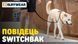 Поводок перестежка для собак Ruffwear Switchbak&trade; Синий 30948 фото 14