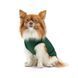 Борцівка Kale ТМ Pet Fashion для собак S зелена 1111197886 фото 3