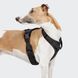 Y-подібна шлейка для собак Cloud7 Y-3 Harness AKTIV Чорний XS 46273 фото 2