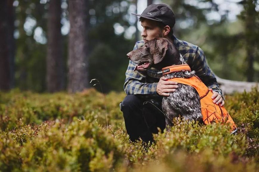 Ошейник для собак Safe Non-stop dogwear Оранжевый 40 40409 фото