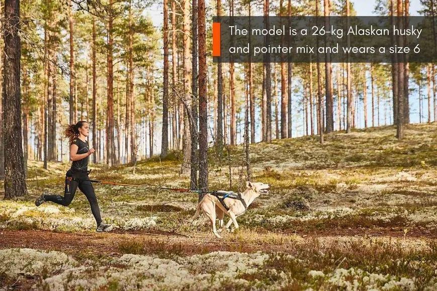 Шлея для собак Freemotion harness Non-stop dogwear Черный 1 40645 фото