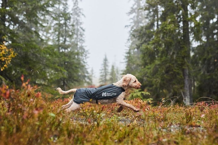 Куртка для собак Trail light Non-stop dogwear Сірий 36 40886 фото